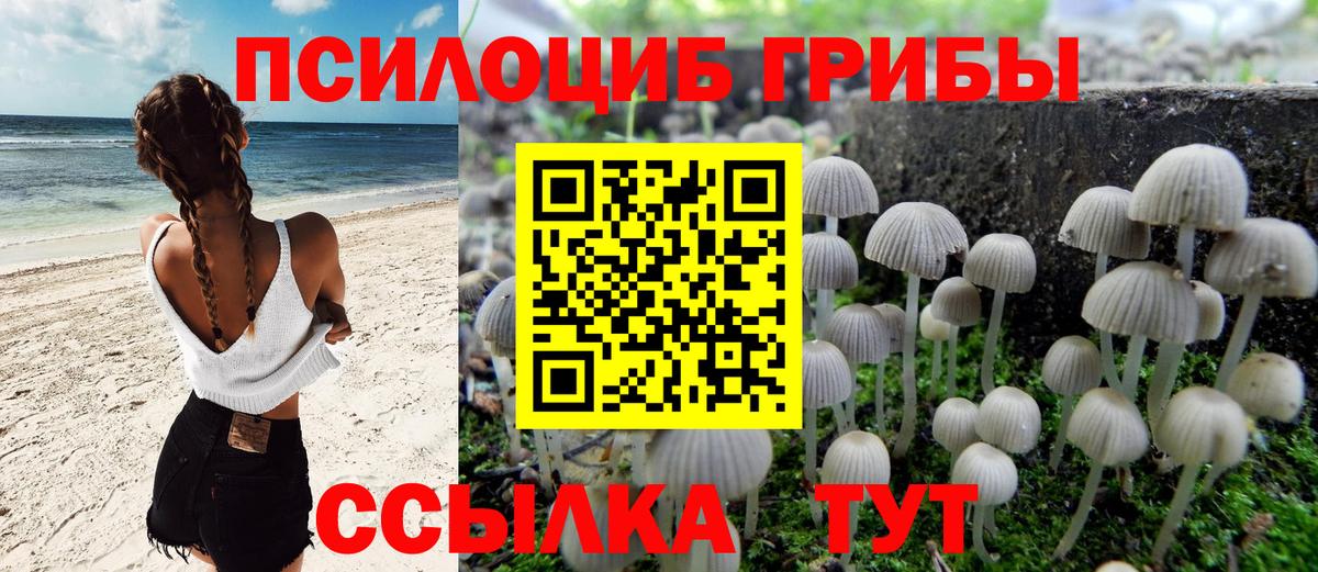 Псилоцибиновые грибы Magic Shrooms Муравленко